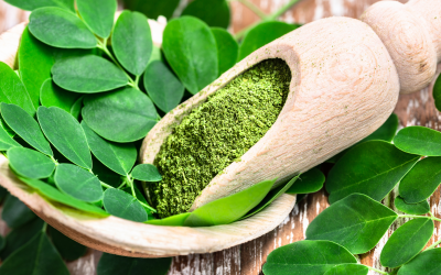 Gratitude For The Miracle Of Moringa